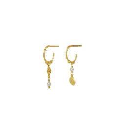 Maanesten Ophelia Forgyldte Hoops m. Muslingemotiver
