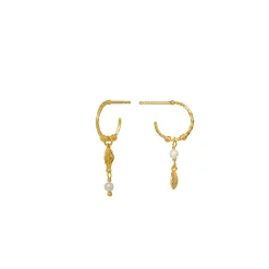 Maanesten Ophelia Forgyldte Hoops m. Muslingemotiver